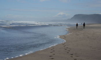Tui Tours West Coast Beach