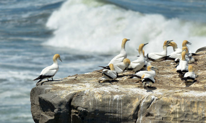 Personalised Tours From Auckland