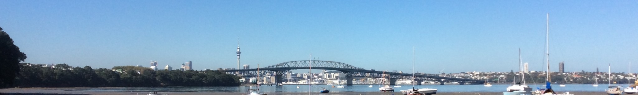 Auckland City and Harbour Bridge