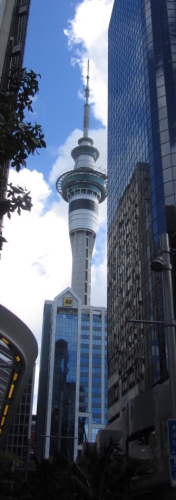 Personalised Day Tours Auckland
