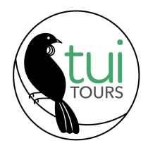 Tui Tours