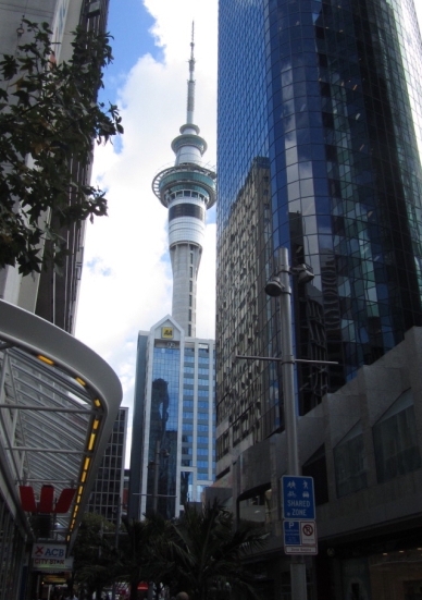 Local Tours In Auckland