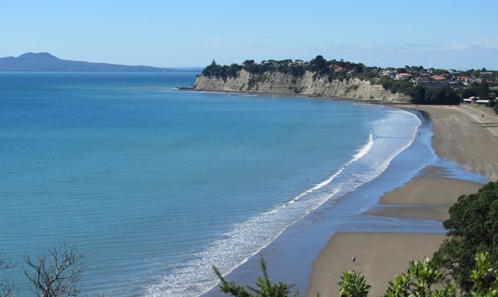Beach And City Tours From Auckland