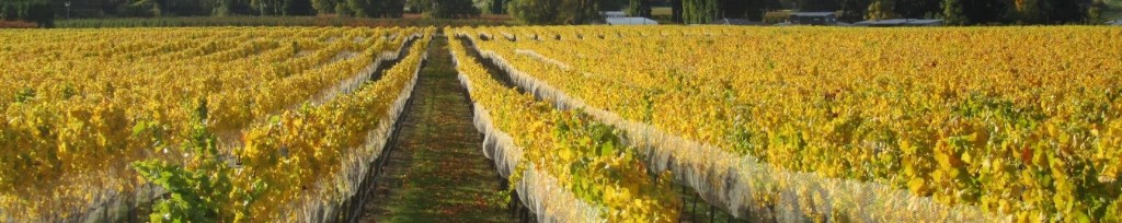West Coast And Wineries Tours From Auckland