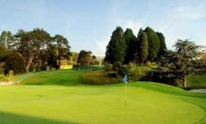 Golf Tours Auckland