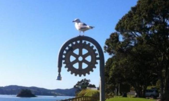 Tui Tours Seagull