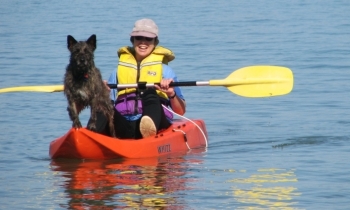 Kayaking Auckland Kayaking