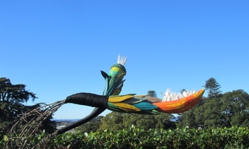 art-history-tours-auckland Art And History Tours in Auckland