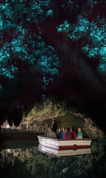 waitomo-tours-auckland.jpg Waitomo Tours from Auckland